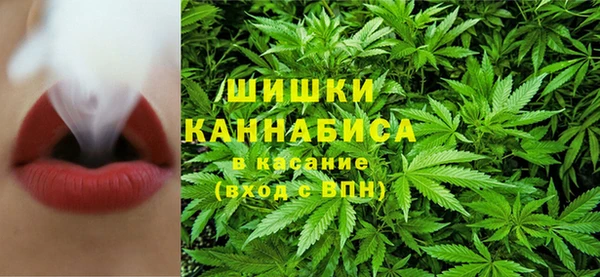 стаф Покачи