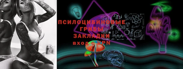 стаф Покачи