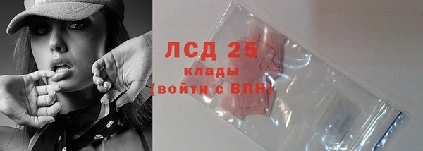 стаф Покачи