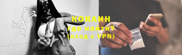 крисы Абаза