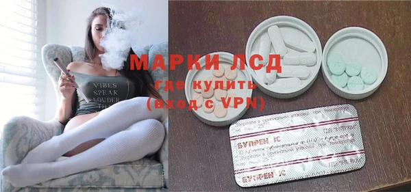 крисы Абаза