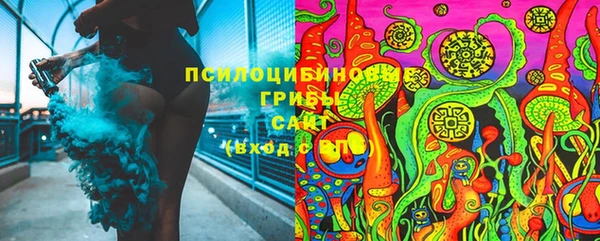 крисы Абаза